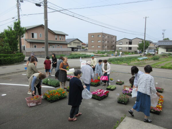御経塚まちづくり会 4月20日 花苗無料配布