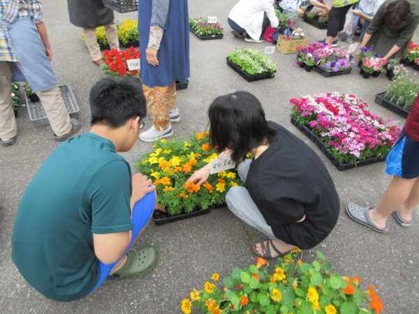 御経塚まちづくり会 4月20日 花苗無料配布
