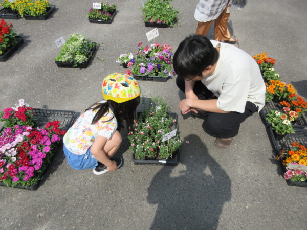 御経塚まちづくり会 4月20日 花苗無料配布