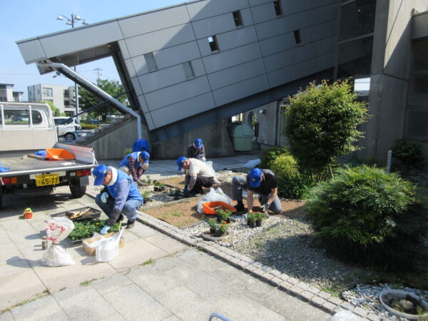 御経塚まちづくり会 6月21日 馬場川緑道の花苗植え/塚越山(経塚の祠)除草