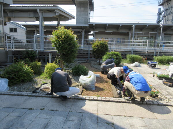 御経塚まちづくり会 6月21日 馬場川緑道の花苗植え/塚越山(経塚の祠)除草