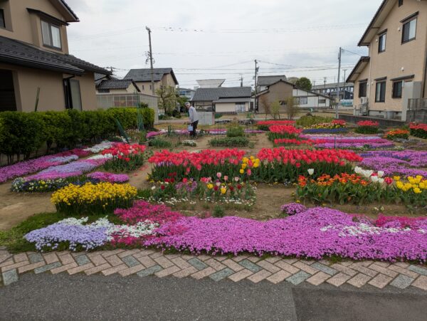 御経塚まちづくり会 御経塚町内宅地の花畑