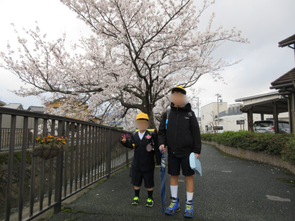 御経塚まちづくり会 馬場川緑道桜並木風景